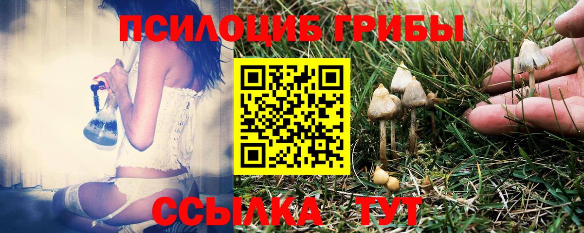 Гашиш Туапсе