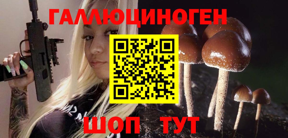 Псилоцибиновые грибы прущие грибы  Галлюциногенные грибы GOLDEN TEACHER  Туапсе  Вход с VPN 